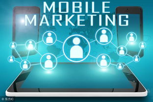 商業(yè)計劃書 網(wǎng)絡(luò)技術(shù)服務(wù)框架模塊